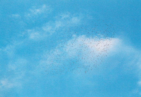  © Henrik Håkansson