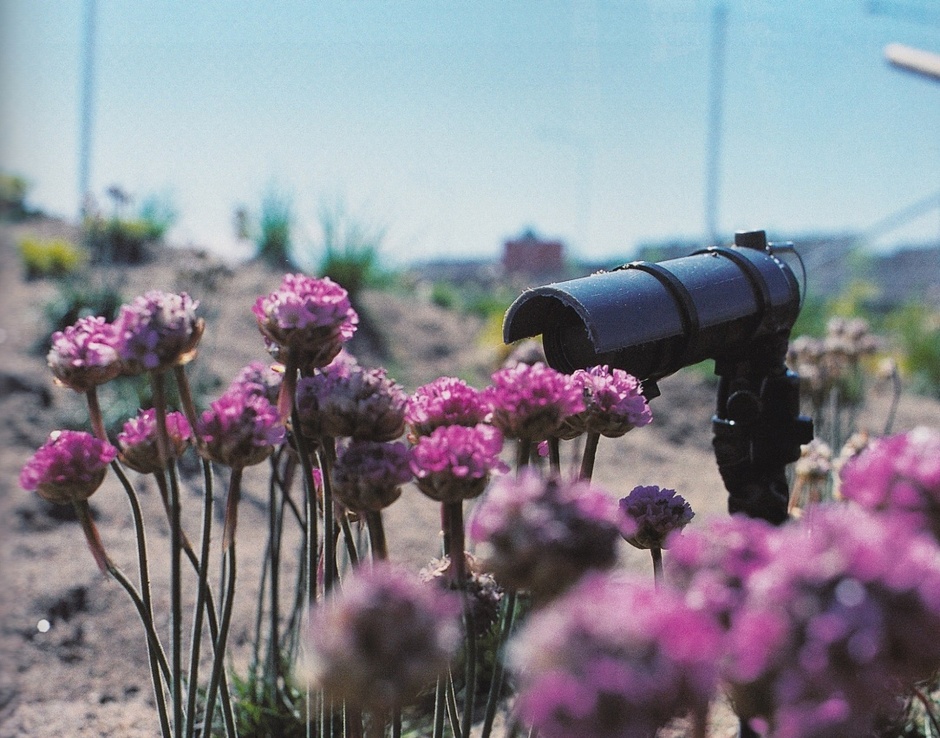 © Henrik Håkansson