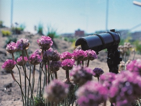 © Henrik Håkansson