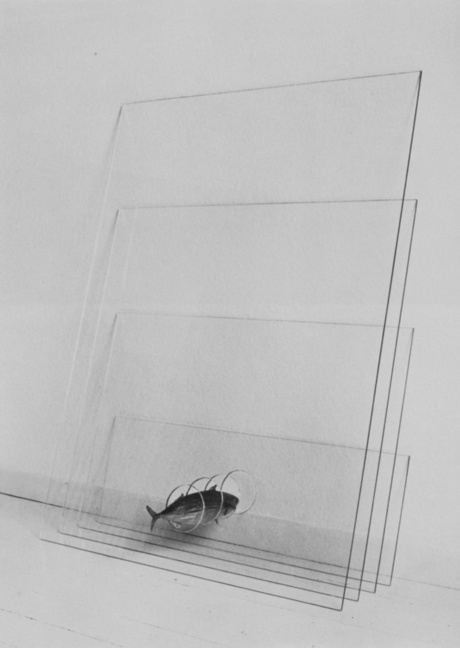 © Christiane Möbus