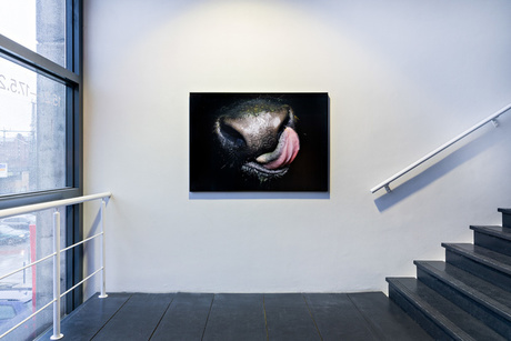 ars viva 2020:Installationsansicht mit Werken von Thibaut Henz, Kunstverein in Hamburg, 2020 © Fred Dott ars viva 2020:Installationsansicht mit Werken von Thibaut Henz, Kunstverein in Hamburg, 2020 © Fred Dott