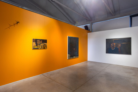 ars viva 2022, Installationsansicht Lewis Hammond, Kai Art Center, 2022, Foto: Mari Volens © Kai Art Center. Courtesy of the Artist und Arcadia Missa, London  