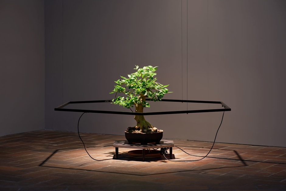 Paul Kolling: Premna Daemon, 2018, Install view Schinkel Pavillon. © Stephan Baumann