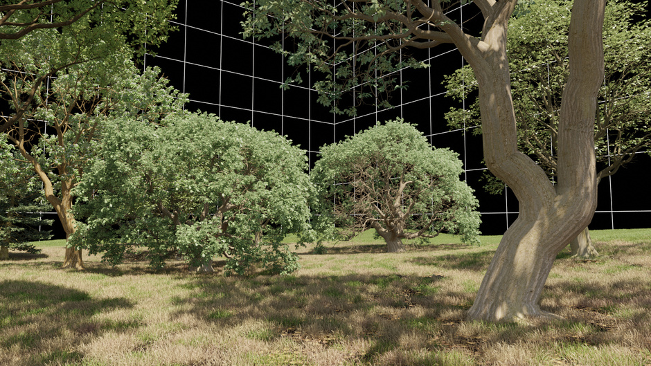 Photos © terra0, https://terra0.org