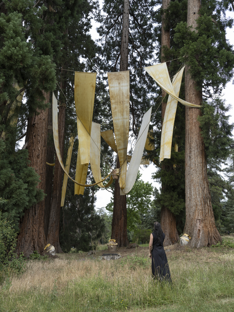 Daniel Lie, Sculpture Garden, "THEM" at Sculpture Garden: Geneva Biennale 2022, Geneva/Switzerland, Foto Julien Gremaud 