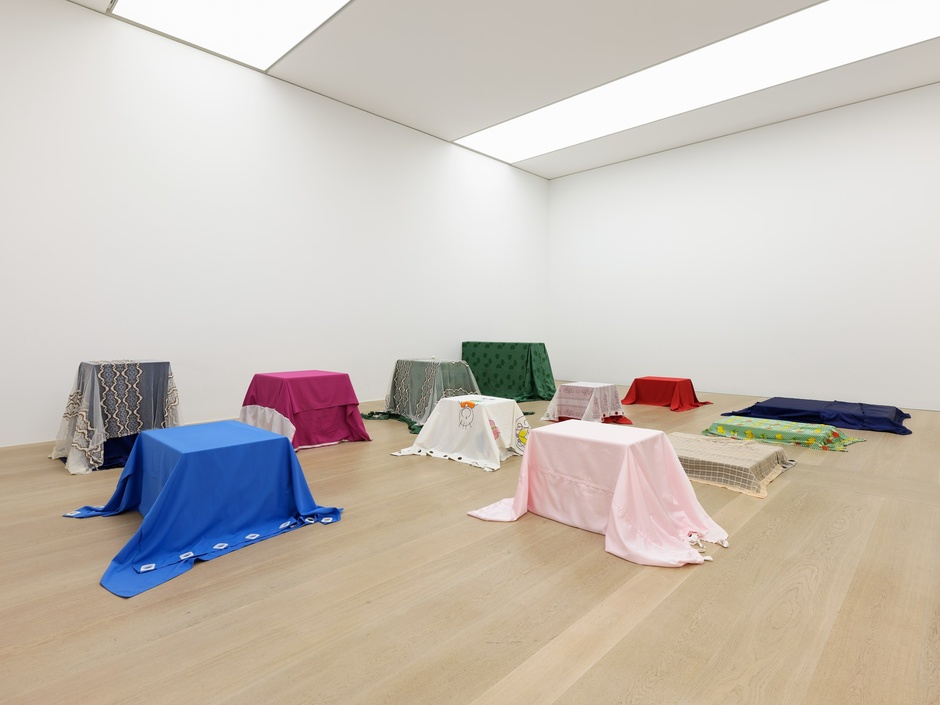 Wisrah C. V. da R. Celestino at Kunsthalle Bremen © Tobias Hübel. Courtesy of the artist and the institution.